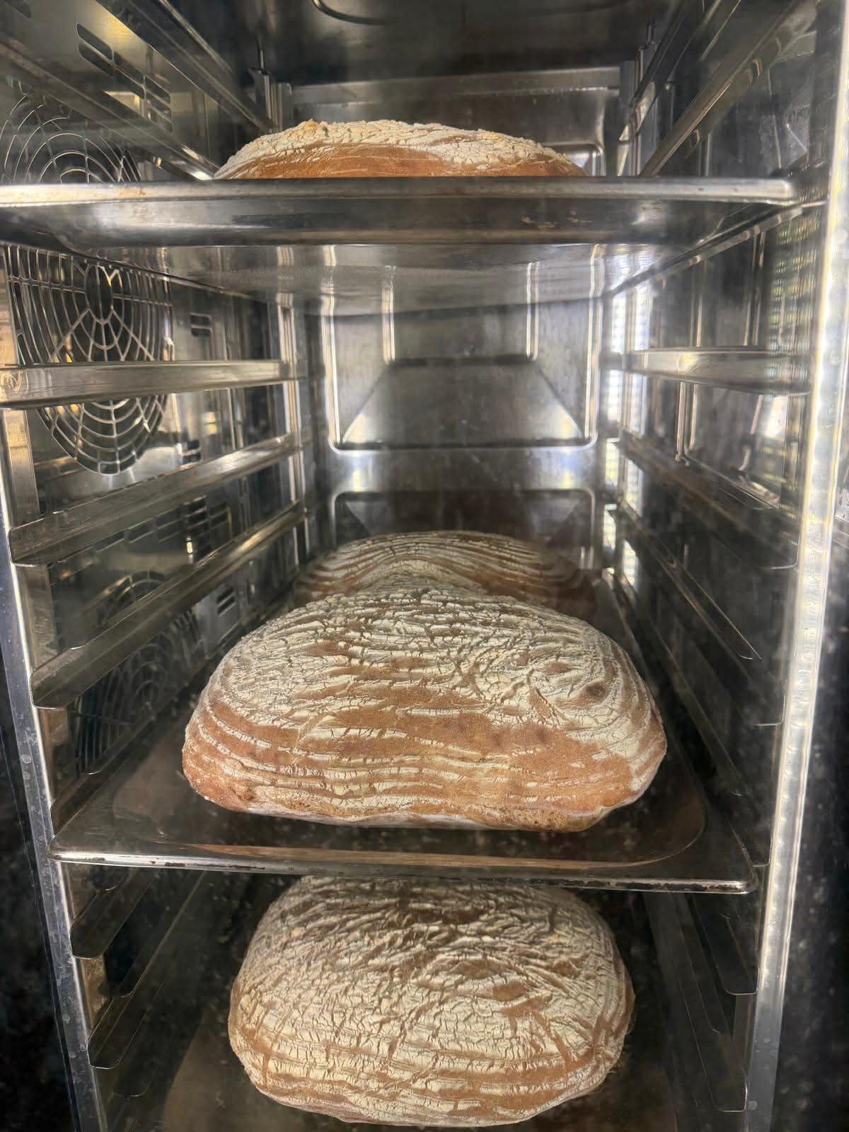 b1068373 900c 41b1 83f7 fc28a8b6a422